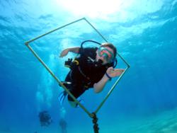 Sharm El Sheikh Diving Holiday